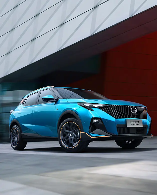 foto de una EMZOOM celeste